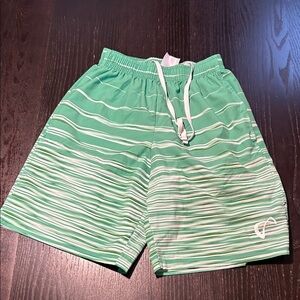 Stylish Green Striped Athletic Shorts